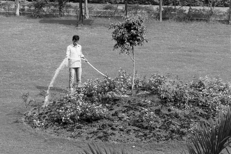 Integrated Solution for Urban Drinking Water Challenges - Gardening with treated wastewater in a public park inside a residential colony in Mumbai, Maharashtra
